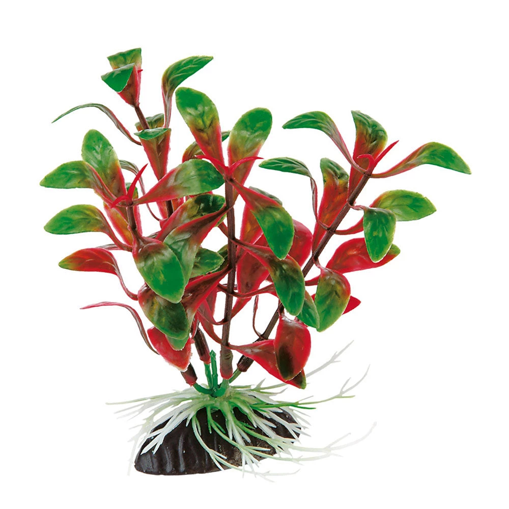 Ferplast BLU 9058 - ROTALA Aquarien Zubehör Und Dekoration 3 Ferplast BLU 9058 - ROTALA Aquarien Zubehör Und Dekoration