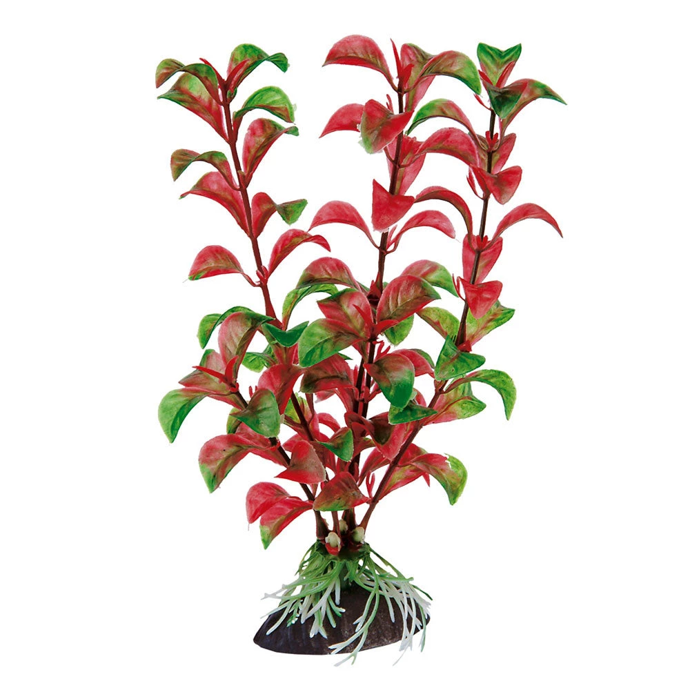 Ferplast BLU 9058 - ROTALA Aquarien Zubehör Und Dekoration 4 Ferplast BLU 9058 - ROTALA Aquarien Zubehör Und Dekoration