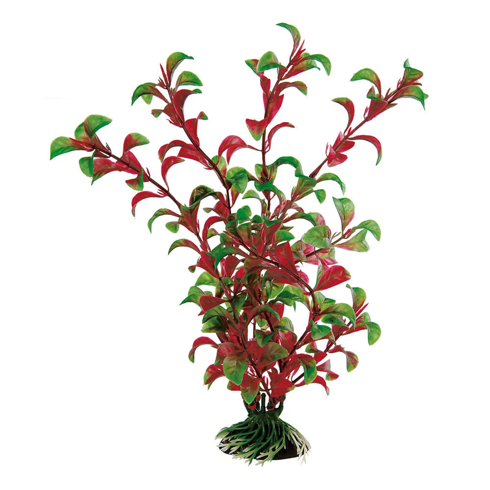 Ferplast BLU 9058 - ROTALA Aquarien Zubehör Und Dekoration 5 Ferplast BLU 9058 - ROTALA Aquarien Zubehör Und Dekoration