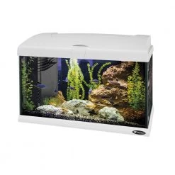 Ferplast Alle Anzeigen CAPRI 50 LED - 40 L