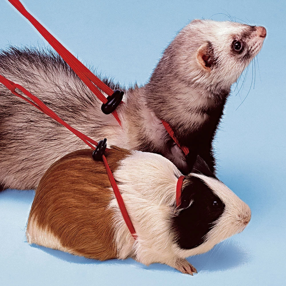 Ferplast NY ROD Alle Anzeigen 4 Ferplast NY ROD Alle Anzeigen