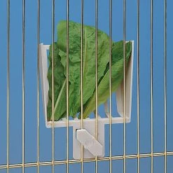 Ferplast Behälter Für Gemüse FPI 4324 Alle Anzeigen