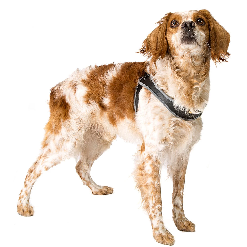 Ferplast Alle Anzeigen AGILA 6-9 14 Ferplast Alle Anzeigen AGILA 6-9