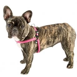 Ferplast AGILA SPORT Alle Anzeigen