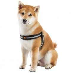 Ferplast AGILA REFLEX 1-4