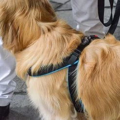 Ferplast ERGOFLUO MATIC G Alle Anzeigen