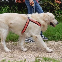 Ferplast AGILA REFLEX 5-9 Alle Anzeigen