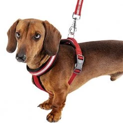 Ferplast DAYTONA P CROSS Alle Anzeigen