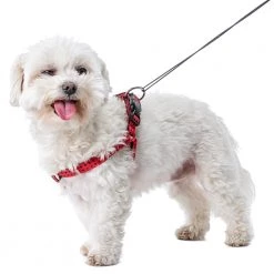 Ferplast CRICKET P Alle Anzeigen