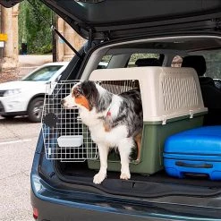 Ferplast Alle Anzeigen ATLAS CLASSIC 29 Ferplast Alle Anzeigen ATLAS CLASSIC