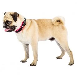 Ferplast Alle Anzeigen ERGOFLUO C