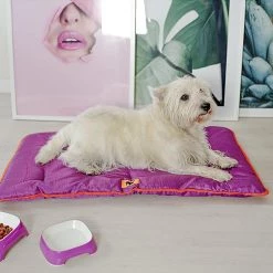 Ferplast Alle Anzeigen JOLLY