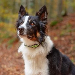 Ferplast Alle Anzeigen ERGOFLUO C