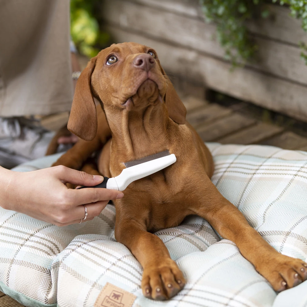 Ferplast Alle Anzeigen GRO 5753 Premium 4 Ferplast Alle Anzeigen GRO 5753 Premium