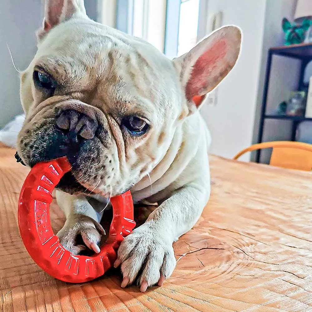 Ferplast SMILE Alle Anzeigen 10 Ferplast SMILE Alle Anzeigen