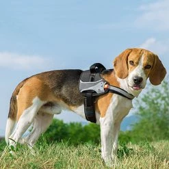 Ferplast HERCULES P S Alle Anzeigen 41 Ferplast HERCULES P S Alle Anzeigen