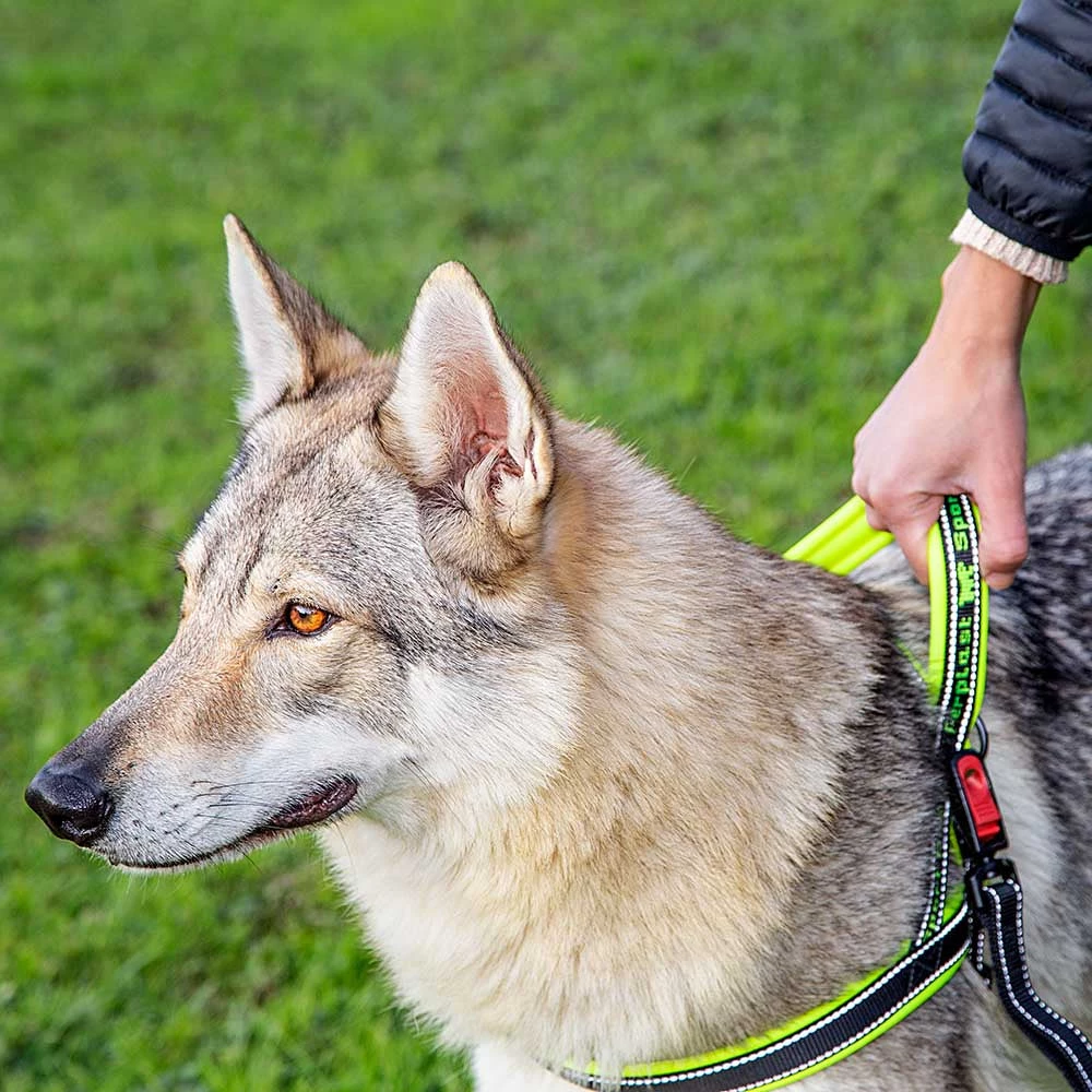 Ferplast Alle Anzeigen SPORT DOG P 44 Ferplast Alle Anzeigen SPORT DOG P