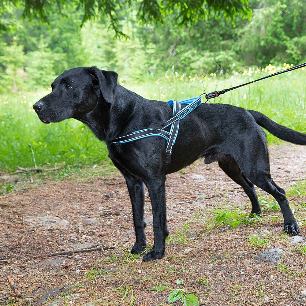 Ferplast Alle Anzeigen SPORT DOG P 41 Ferplast Alle Anzeigen SPORT DOG P