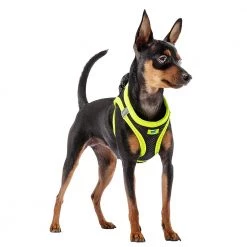 Ferplast KAORI P Alle Anzeigen