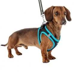 Ferplast KAORI P Alle Anzeigen