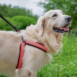 Ferplast AGILA REFLEX 5-9 Alle Anzeigen