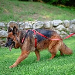 Ferplast DAYTONA P CROSS Alle Anzeigen