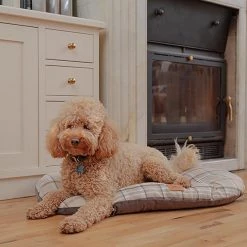 Ferplast Alle Anzeigen SCOTT