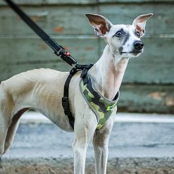 Ferplast Alle Anzeigen NIKITA P FASHION