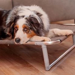 Ferplast Alle Anzeigen DREAM