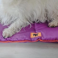 Ferplast Alle Anzeigen JOLLY