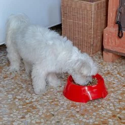 Ferplast MAGNUS SLOW Alle Anzeigen