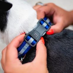 Ferplast CLUB REFLEX C Alle Anzeigen