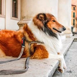 Ferplast CRICKET P Alle Anzeigen