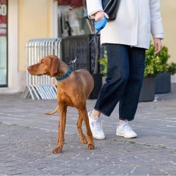 Ferplast FLIPPY ONE TAPE Alle Anzeigen 107 Ferplast FLIPPY ONE TAPE Alle Anzeigen