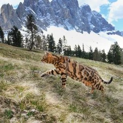 Ferplast EASY P Alle Anzeigen