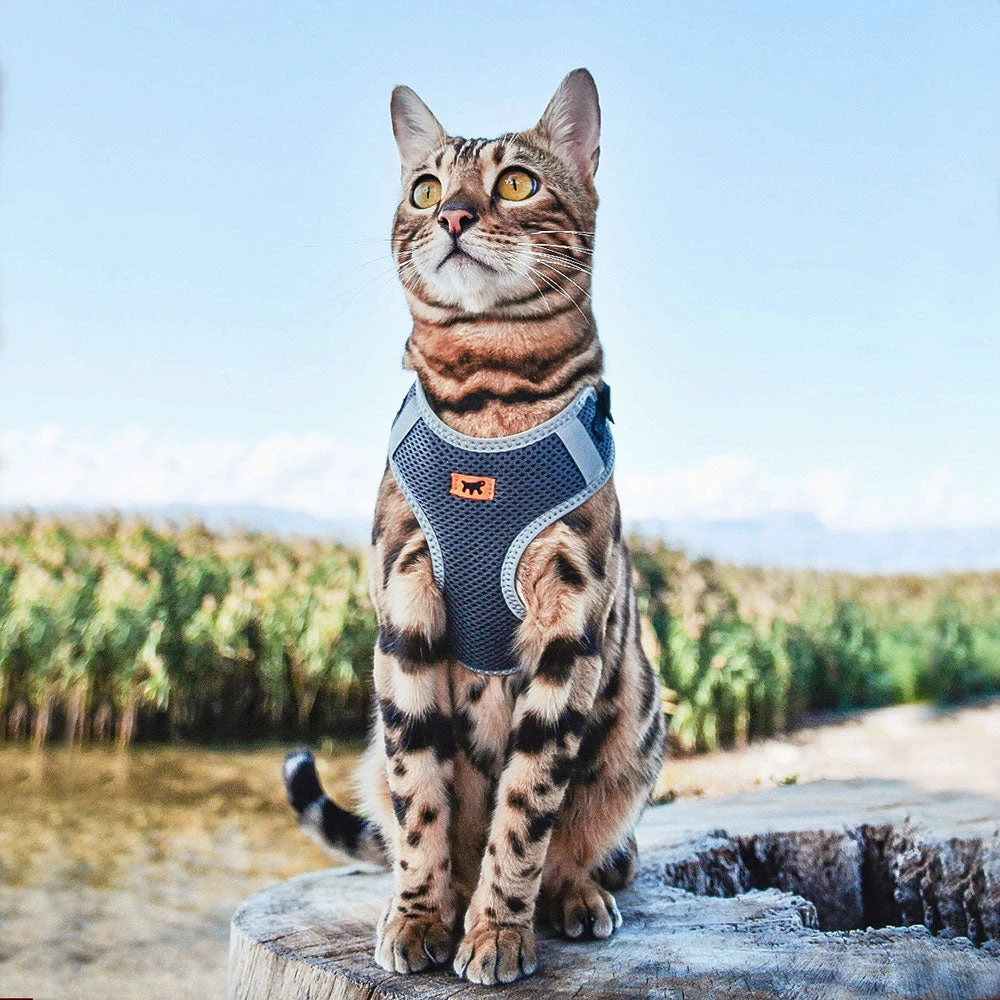 Ferplast NIKITA P Alle Anzeigen 11 Ferplast NIKITA P Alle Anzeigen