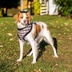 Ferplast NIKITA P FUR Alle Anzeigen