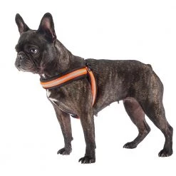 Ferplast AGILA REFLEX 5-9 Alle Anzeigen