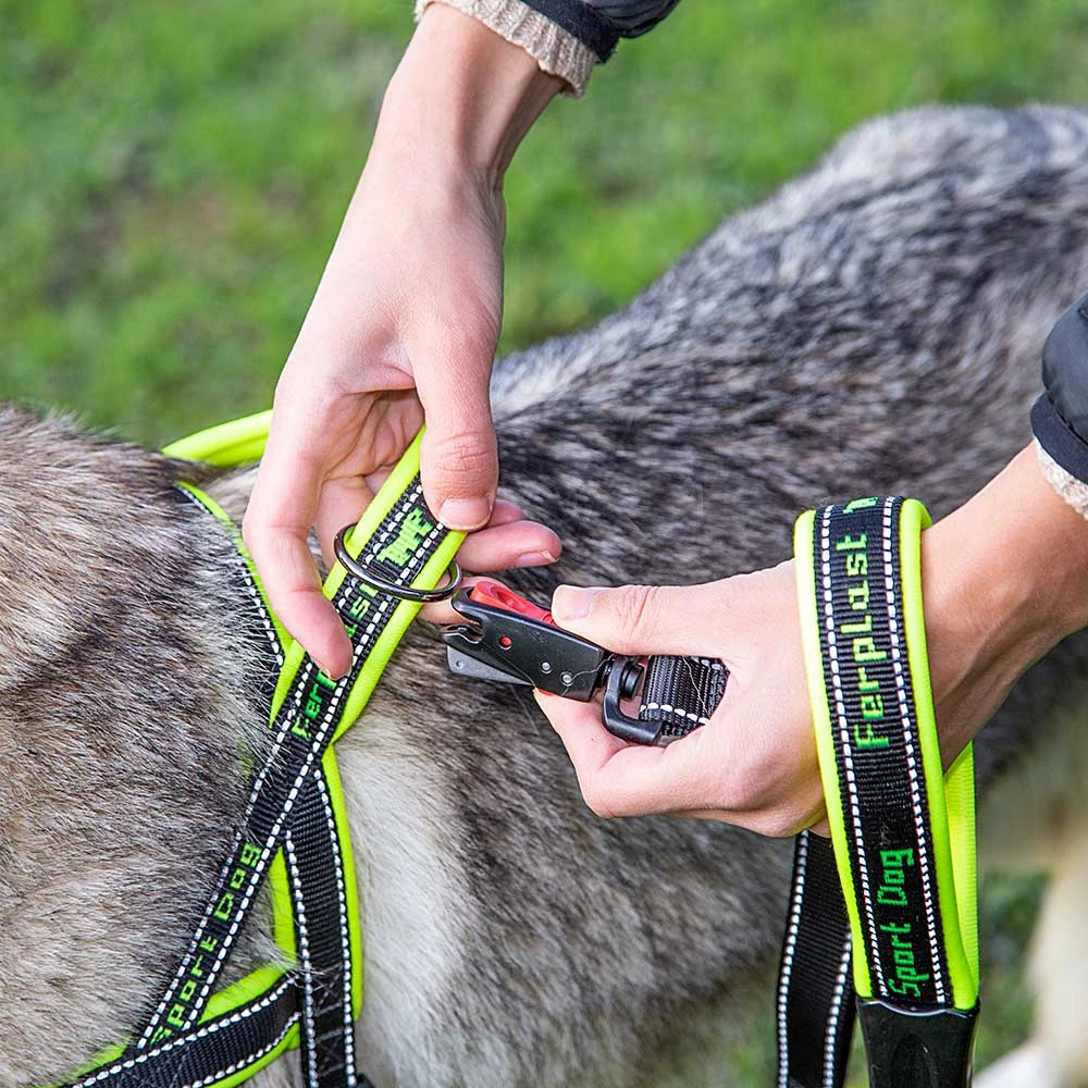 Ferplast Alle Anzeigen SPORT DOG P 45 Ferplast Alle Anzeigen SPORT DOG P