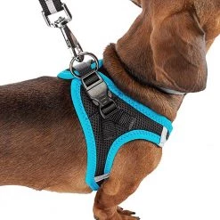 Ferplast KAORI P Alle Anzeigen