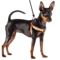 Ferplast AGILA REFLEX 1-4