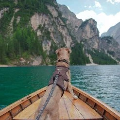 Ferplast Alle Anzeigen ERGOTREKKING