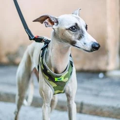 Ferplast Alle Anzeigen NIKITA P FASHION