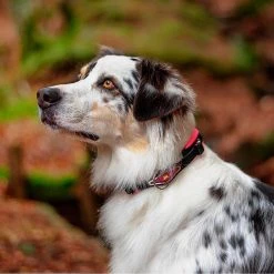 Ferplast Alle Anzeigen ERGOFLUO C