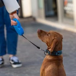 Ferplast FLIPPY ONE TAPE