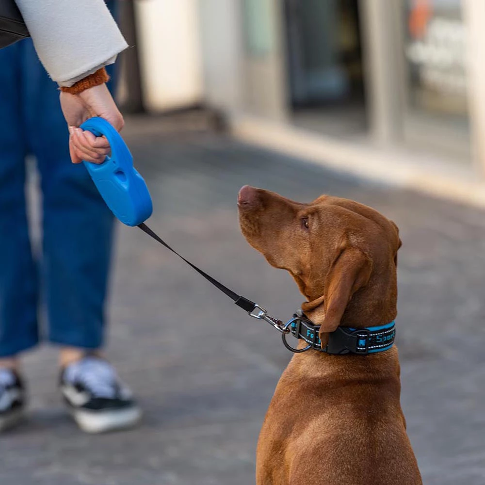 Ferplast FLIPPY ONE TAPE Alle Anzeigen 44 Ferplast FLIPPY ONE TAPE Alle Anzeigen