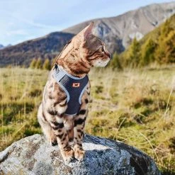 Ferplast NIKITA P Alle Anzeigen 21 Ferplast NIKITA P Alle Anzeigen