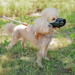 Ferplast SAFE Alle Anzeigen