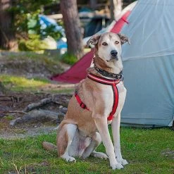 Ferplast DAYTONA P CROSS Alle Anzeigen