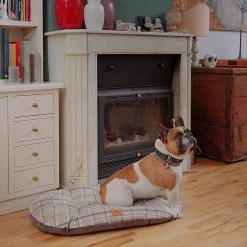 Ferplast Alle Anzeigen SCOTT